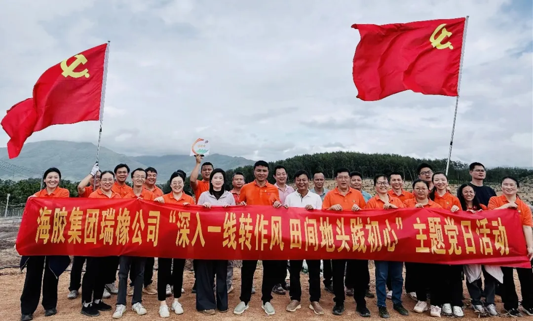 1765245979413012179.jpg 1765245979413012179.jpg