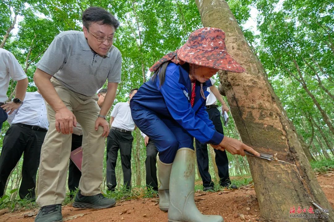 1690162520521013856.jpg 19.jpg