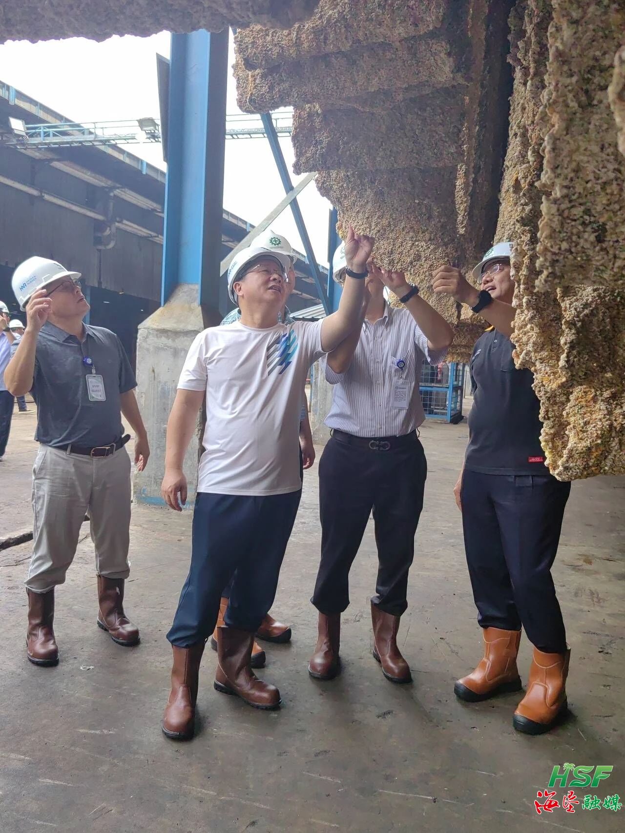 包洪文一行調研合盛農業SGO加工廠。